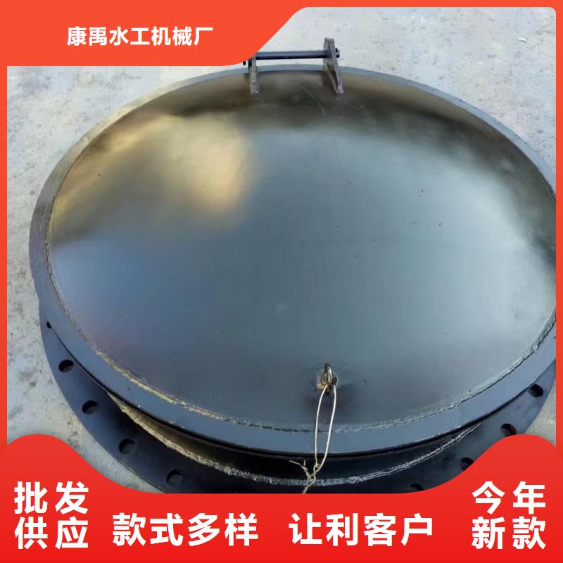 鋼制拍門產(chǎn)品案例