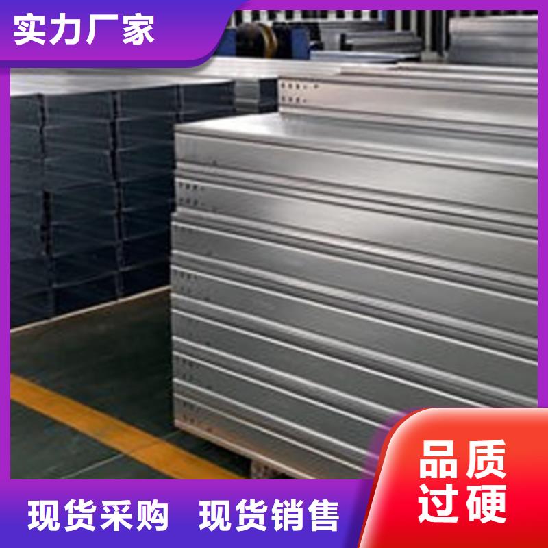 豎井電纜橋架200*100廠家可定制