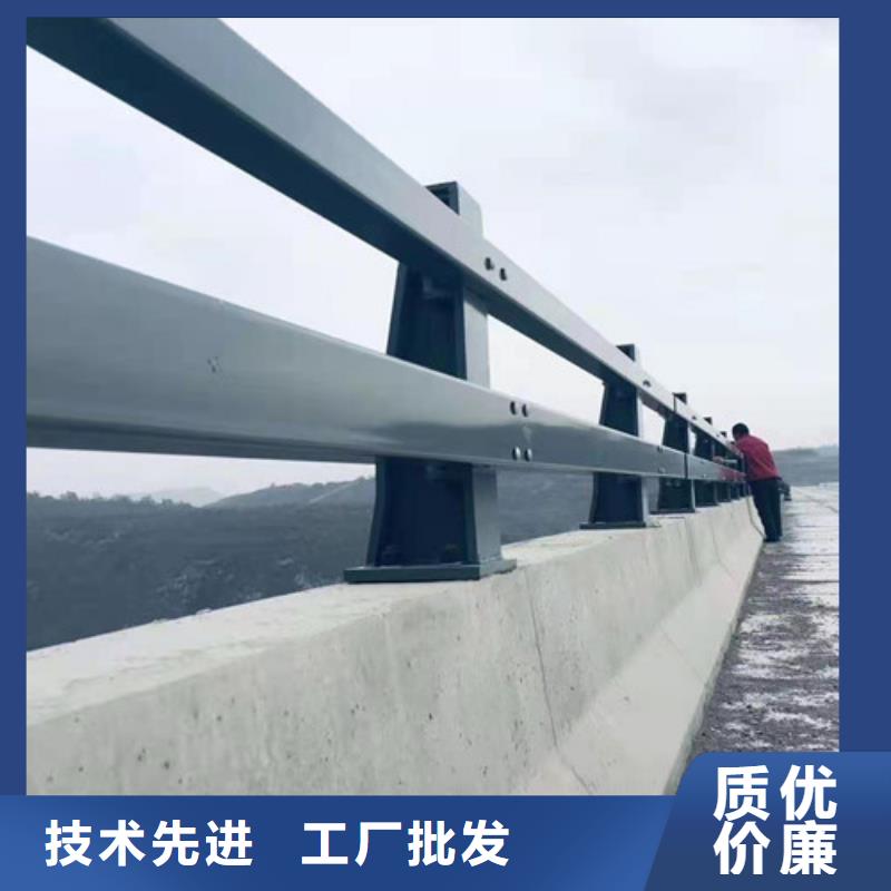 不绣钢道路护栏品质可靠