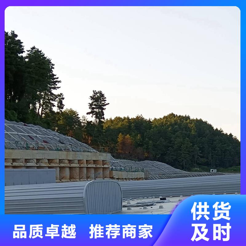 專業(yè)通風天窗出廠價格