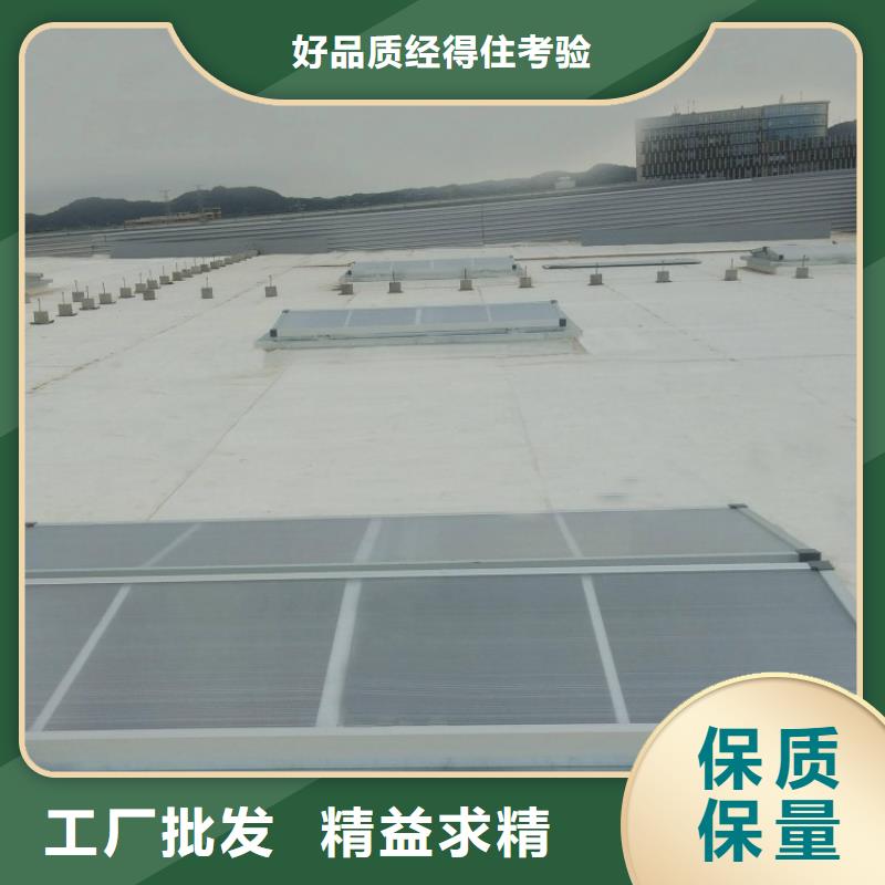 采光天窗生產(chǎn)廠家種植基地