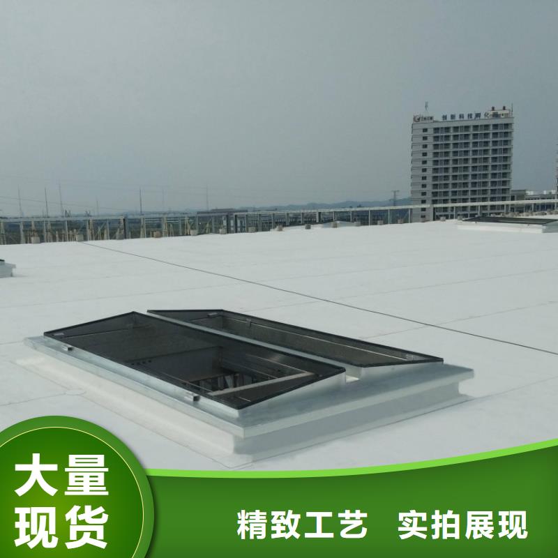 電動式采光天窗可定制