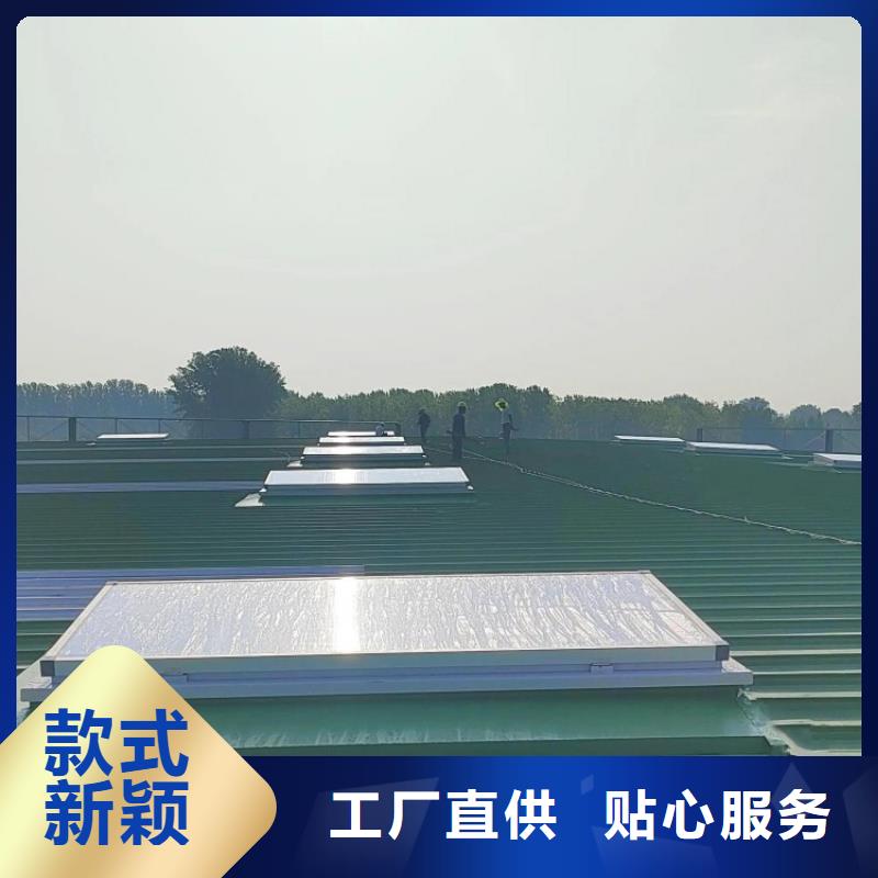 采光天窗生產(chǎn)廠家種植基地