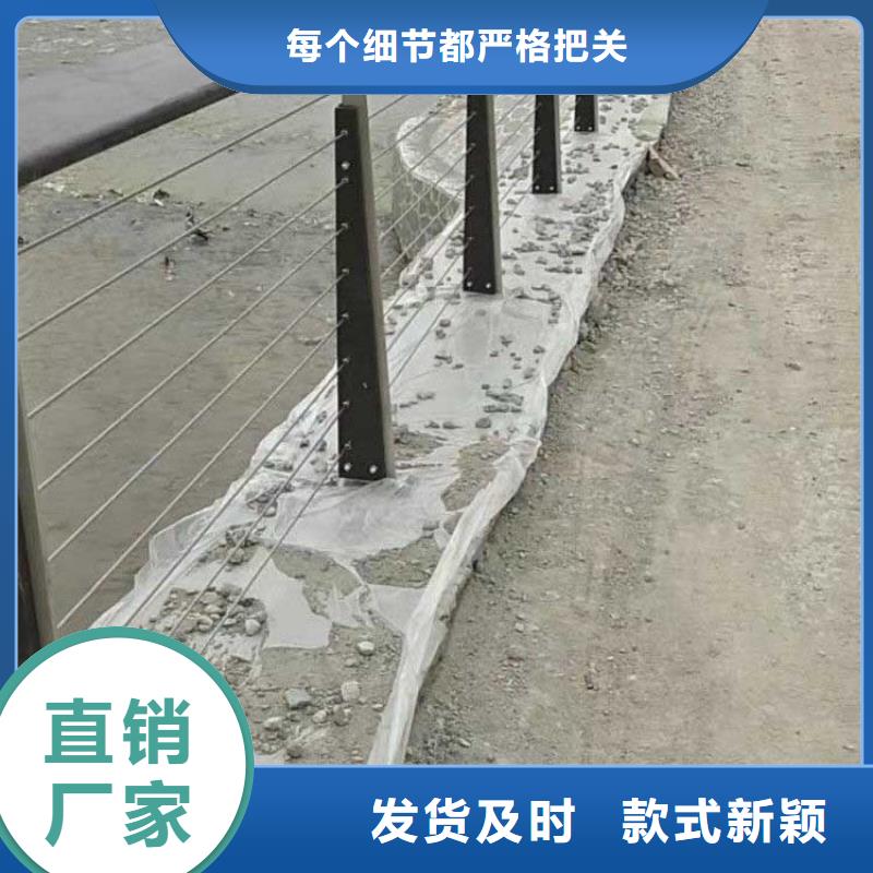 【钢丝绳护栏-道路护栏专注细节专注品质】