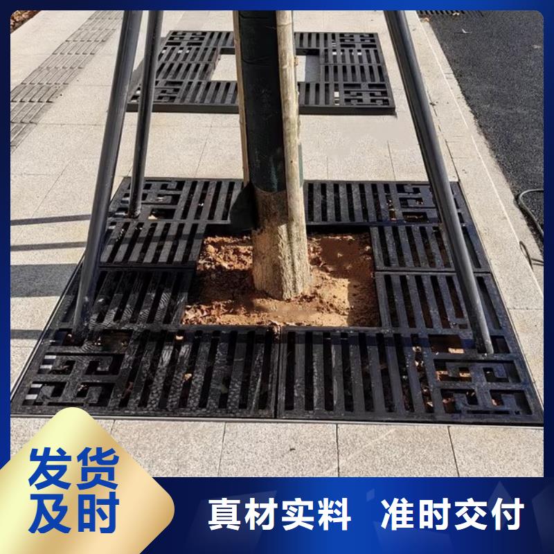 球墨鑄鐵爬梯/踏步廠家地址