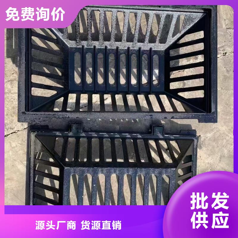 球墨鑄鐵爬梯/踏步多年經(jīng)驗(yàn)