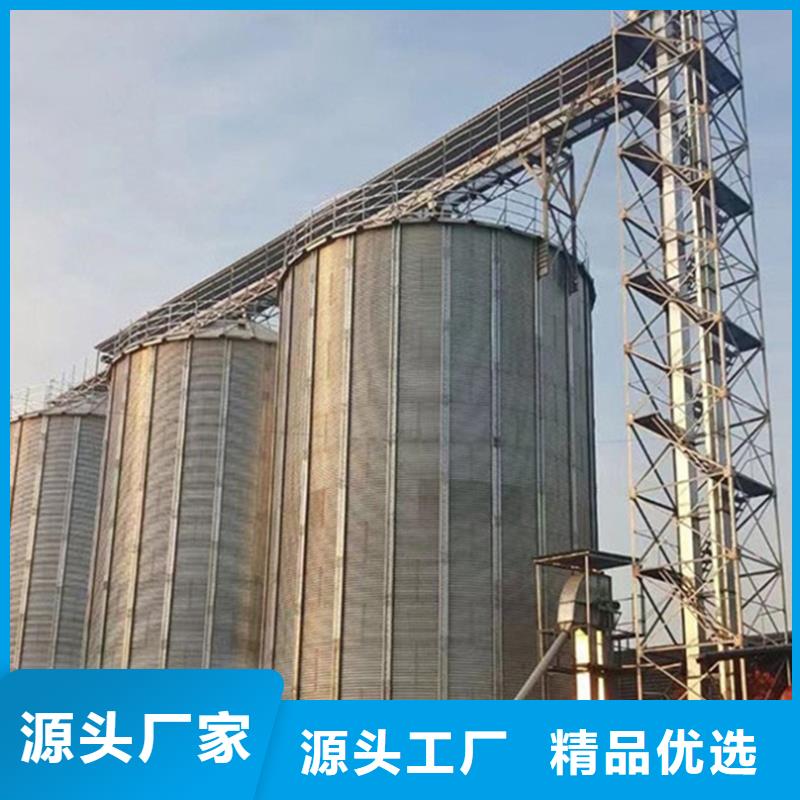 專注制造小麥立筒倉廠家
