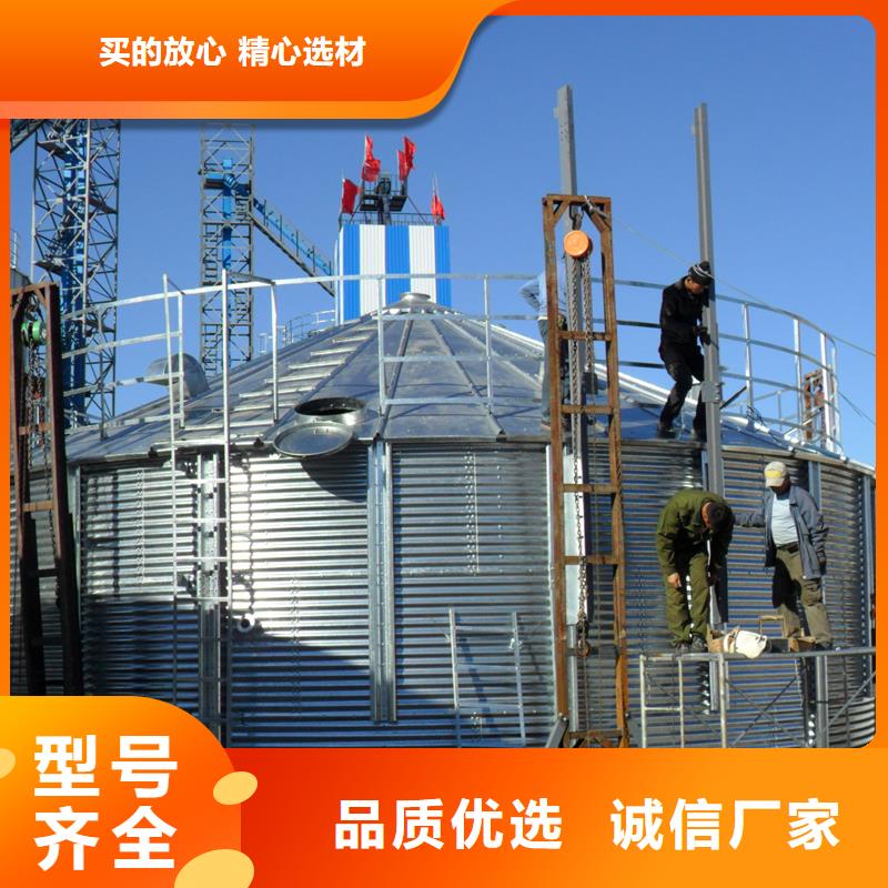 大型立式糧食儲存?zhèn)}廠家，現(xiàn)貨