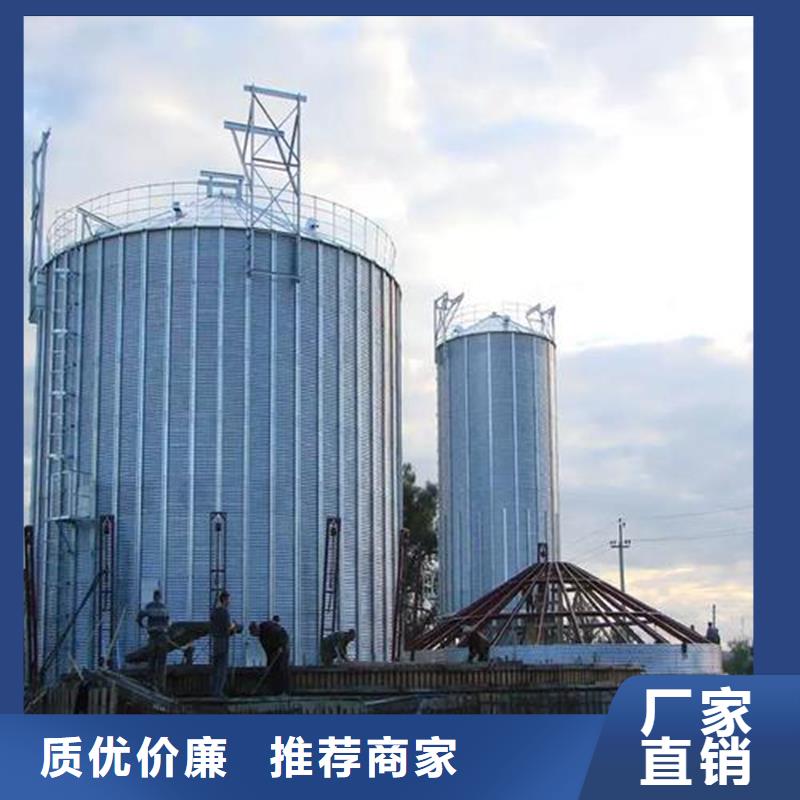 大型糧食存儲設(shè)備實體大廠