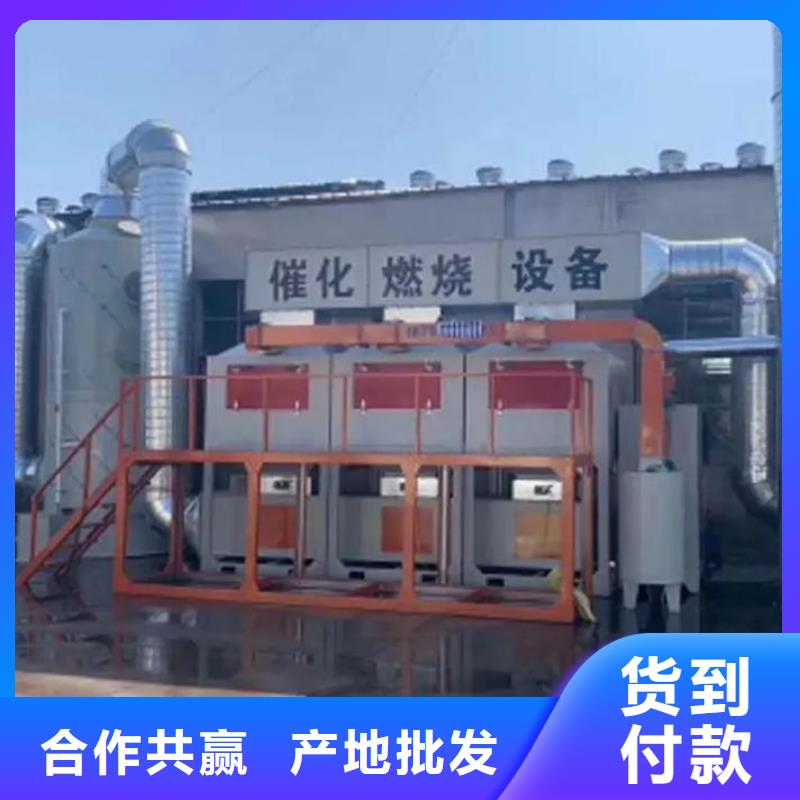 廢氣催化燃燒設(shè)備可定制