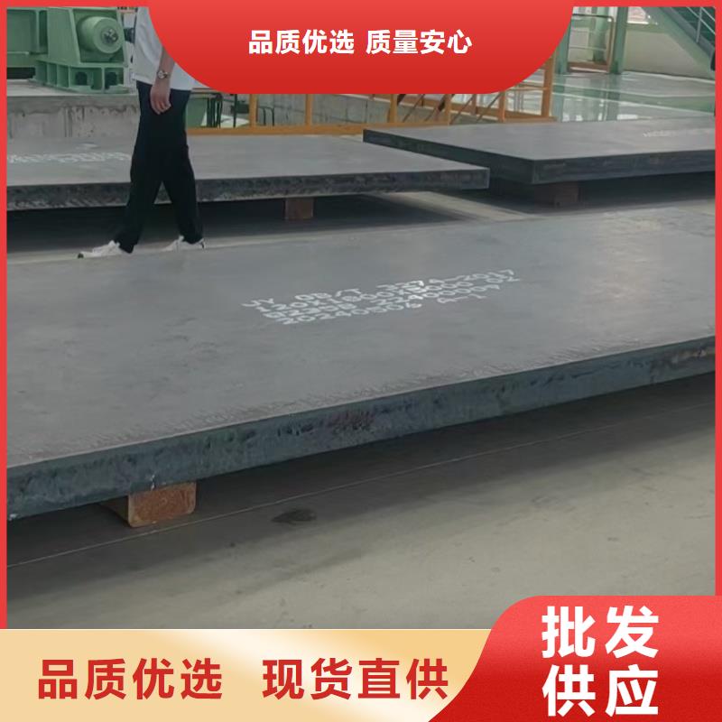 進(jìn)口耐磨板廠家現(xiàn)貨廠家直供