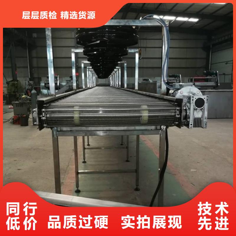 多層網(wǎng)帶輸送機(jī)工廠直銷