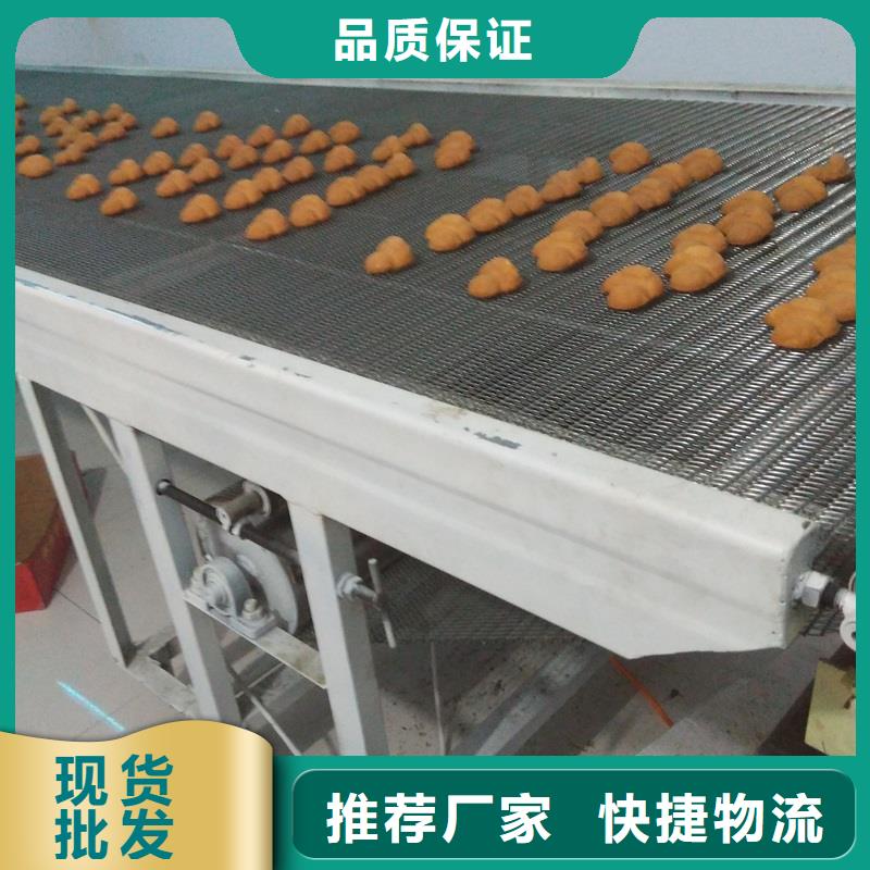 網(wǎng)帶輸送機廠家圖片