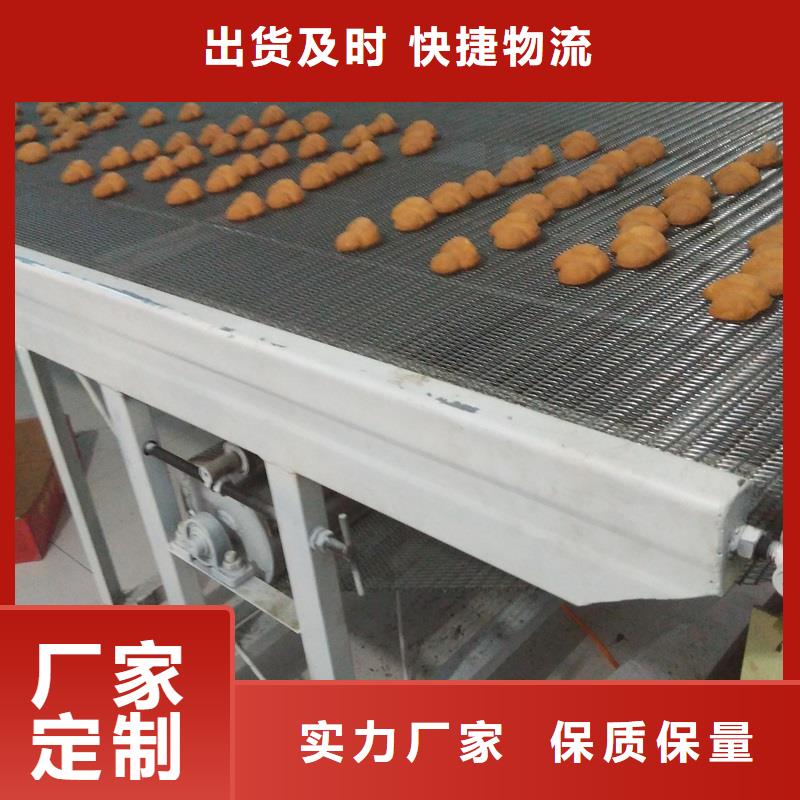 價格低的塑料網(wǎng)帶輸送機品牌廠家