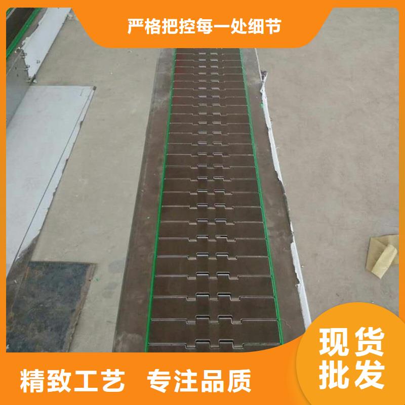 Ton wrapped chain plate conveyor 制造廠家