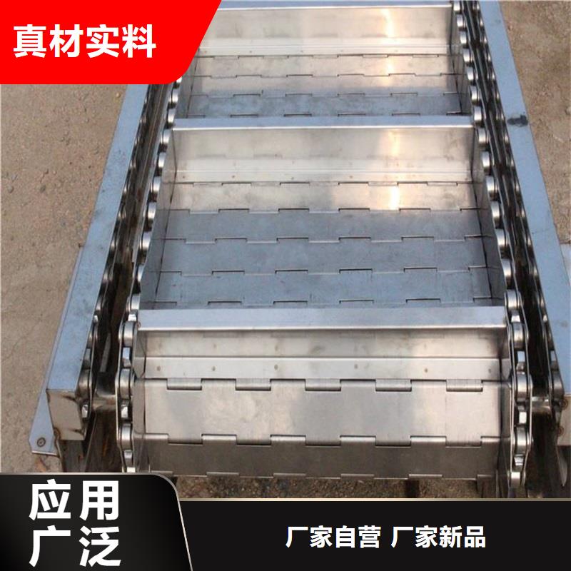 Flexible chain conveyor 制造廠家