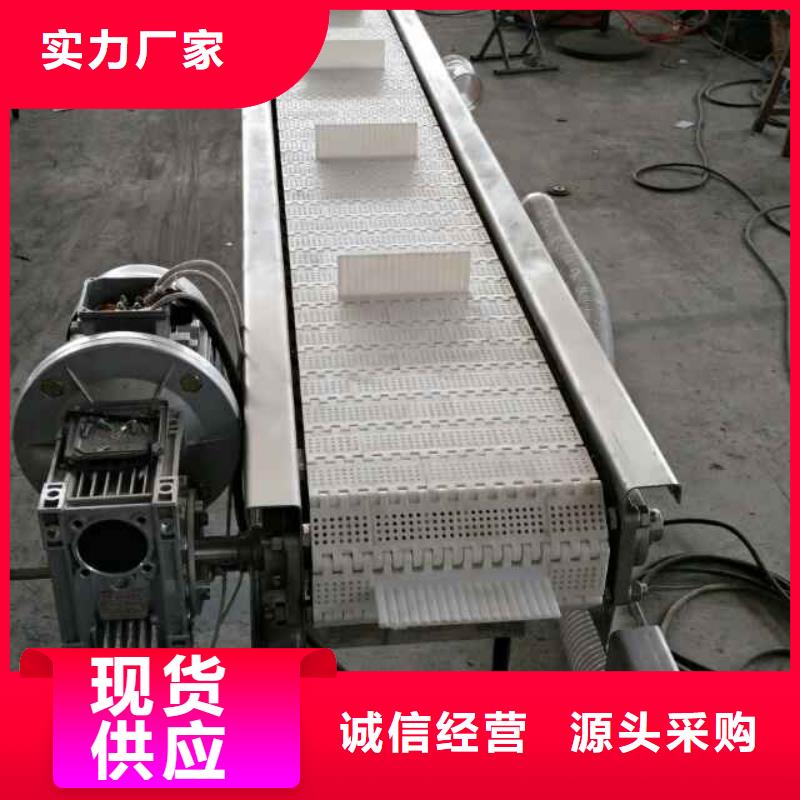 Flexible chain conveyor 生产