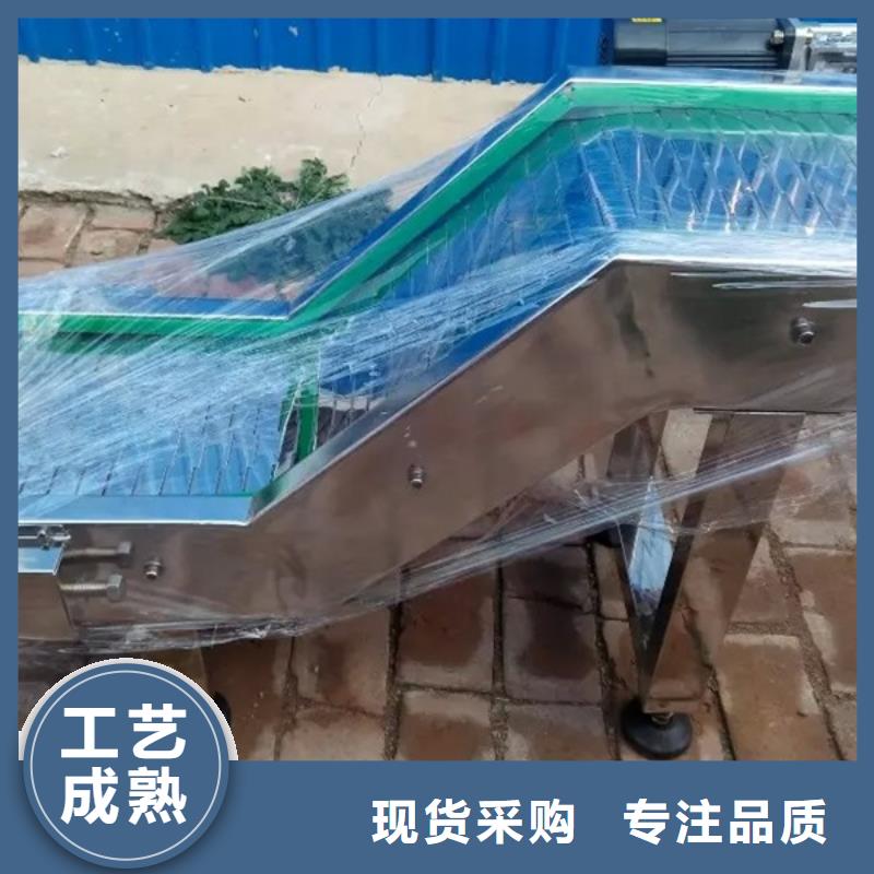 山東Heavy chain conveyor 全國走貨