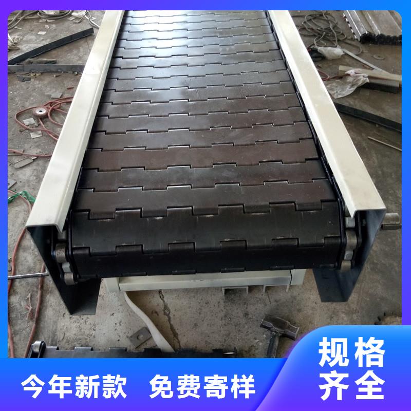 Flexible chain conveyor 廠家供應(yīng)