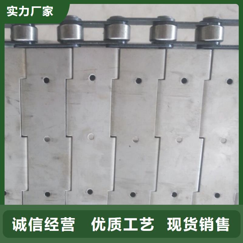 直行鏈板輸送機(jī)生產(chǎn)廠家