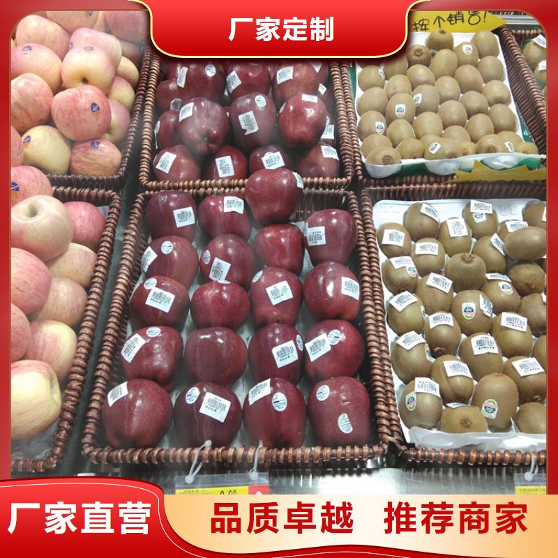 蘋果_櫻桃苗高標(biāo)準(zhǔn)高品質(zhì)