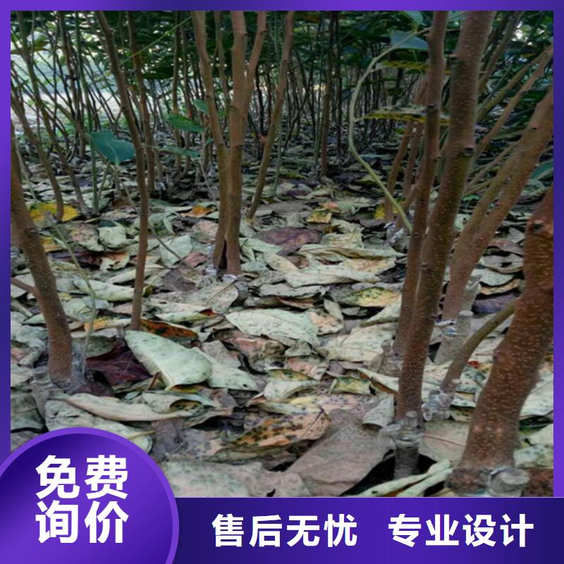 柿子奶油草莓售后无忧