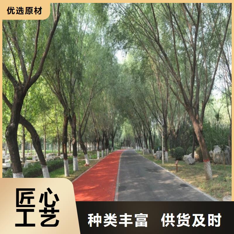 【健身步道】体育场塑胶跑道选择我们选择放心