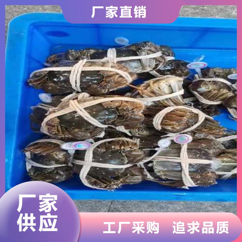 阳澄湖大闸蟹团购