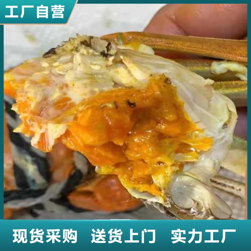 阳澄湖大闸蟹网上订购