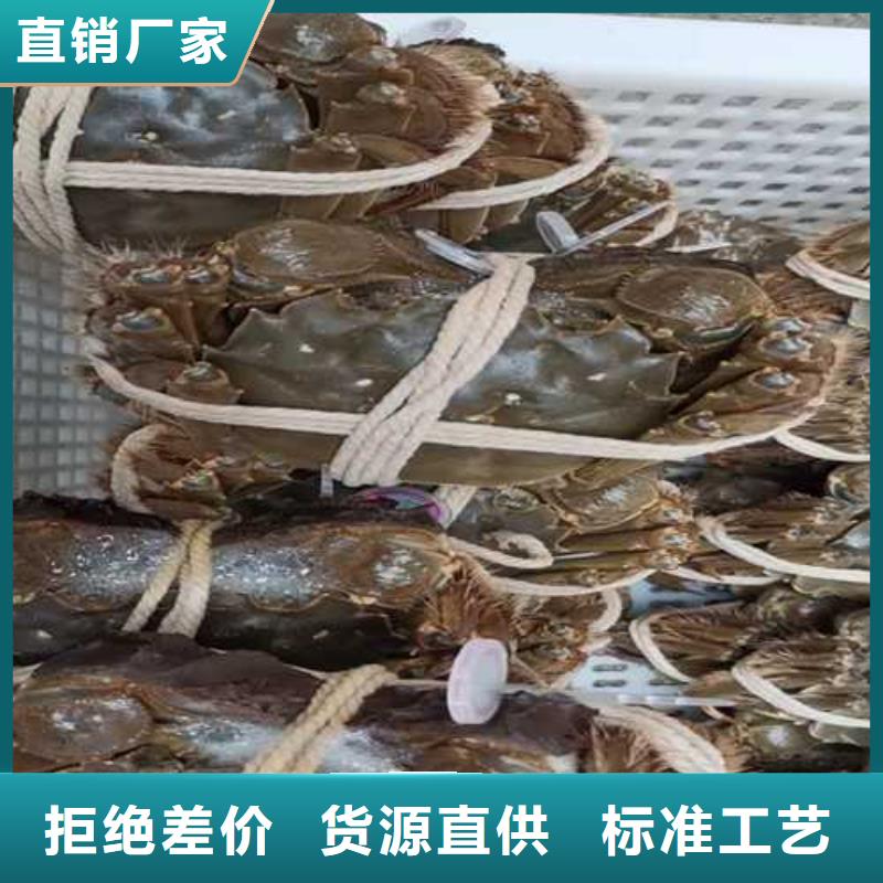 阳澄湖大闸蟹上市价格