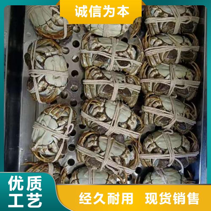 蟹,陽(yáng)澄湖大閘蟹直營(yíng)店品質(zhì)不將就