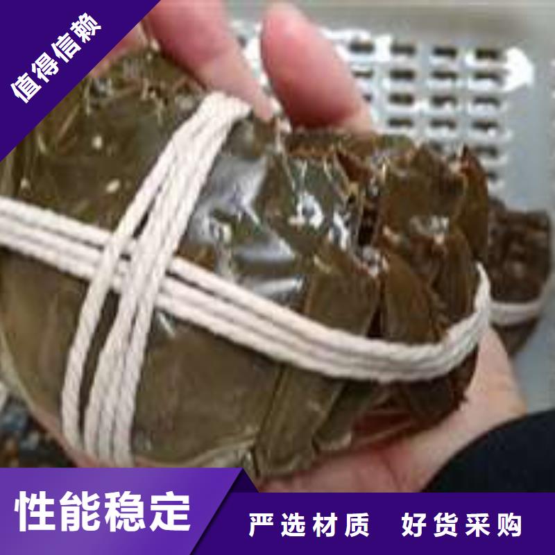 蟹陽澄湖大閘蟹零售店訂購