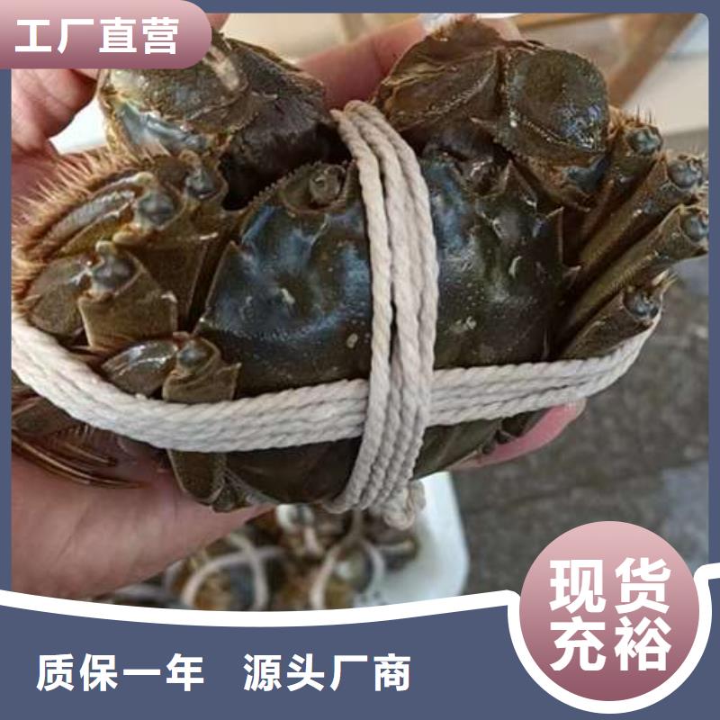 阳澄湖大闸蟹限时优惠