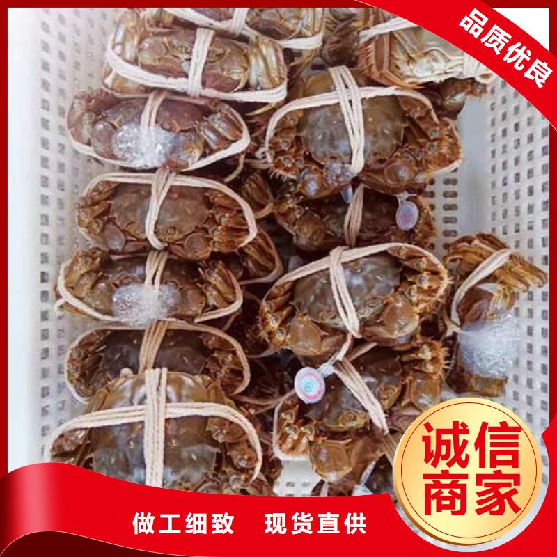 蟹-陽澄湖大閘蟹哪個(gè)品牌正宗廠家現(xiàn)貨供應(yīng)