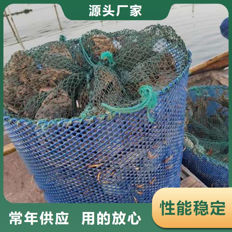 阳澄湖大闸蟹欢迎下单