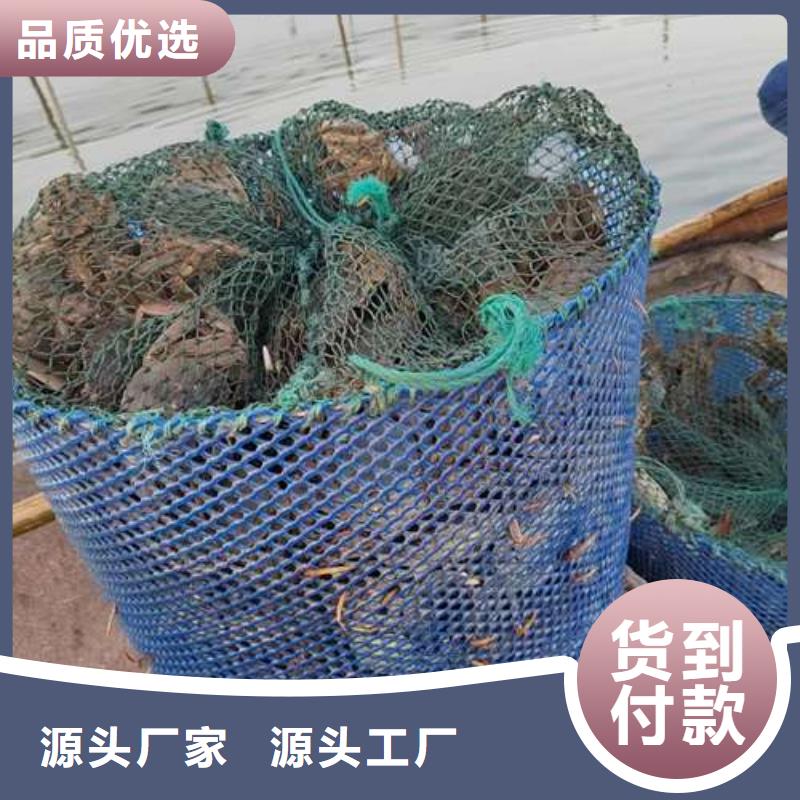 价格公道的阳澄湖大闸蟹厂家