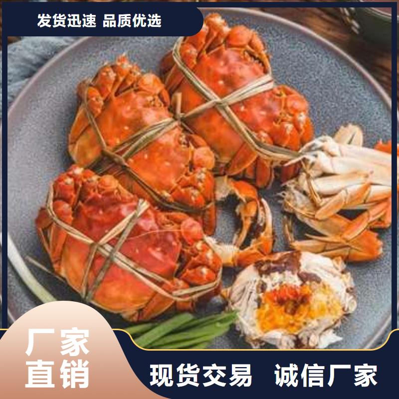 蟹陽澄湖大閘蟹到哪里買拒絕差價
