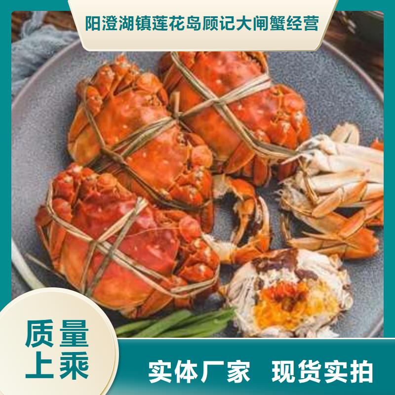 阳澄湖大闸蟹品质商家