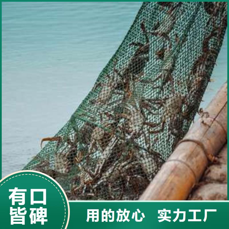 蟹陽(yáng)澄湖大閘蟹幾月份吃常年出售