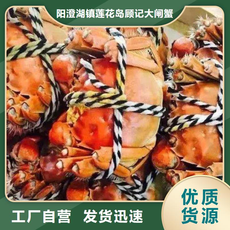 質(zhì)量可靠的陽澄湖大閘蟹廠家