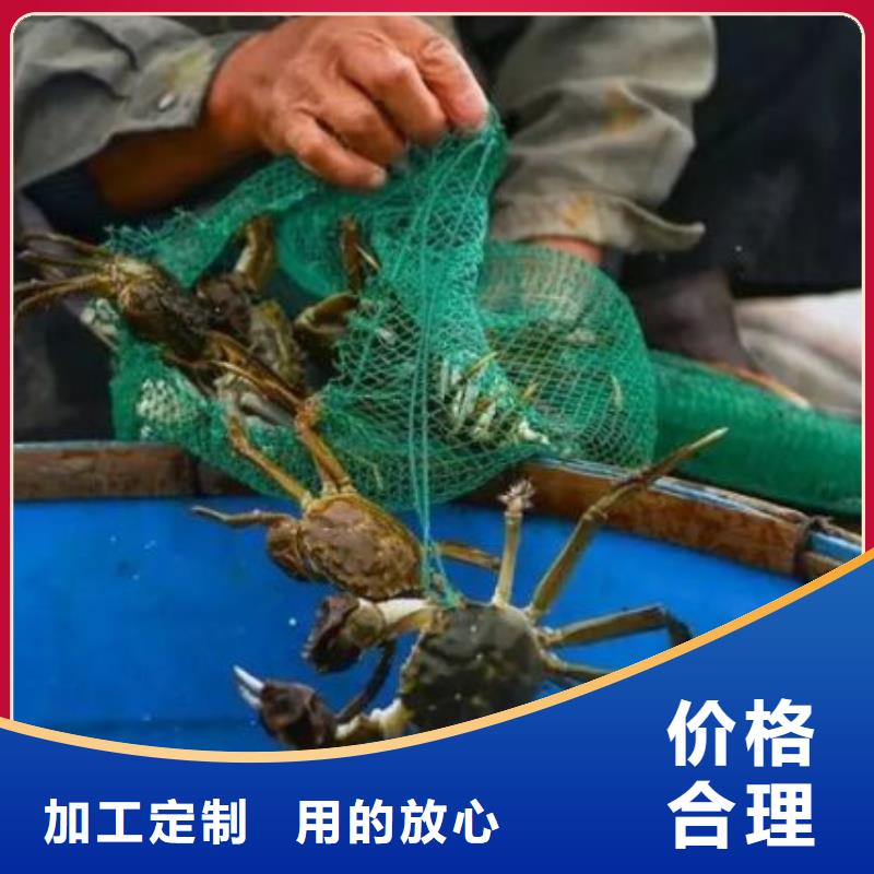 性價(jià)比高的陽澄湖大閘蟹廠家