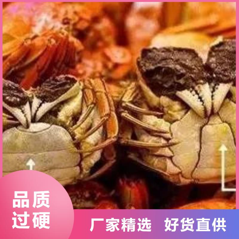 蟹陽澄湖大閘蟹幾兩吃選擇大廠家省事省心