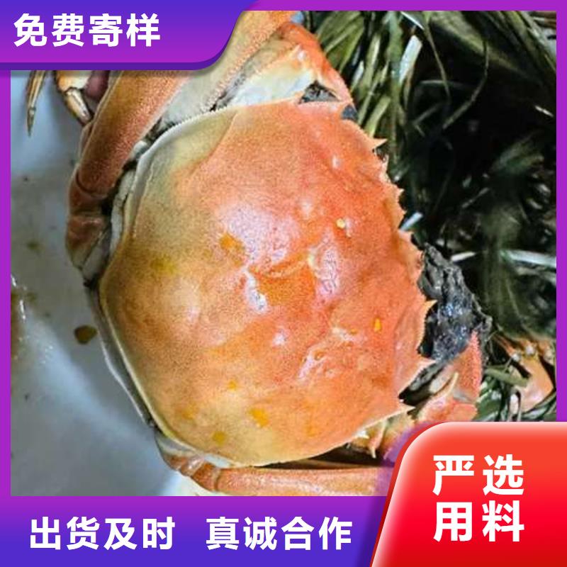 阳澄湖大闸蟹现货供应厂家