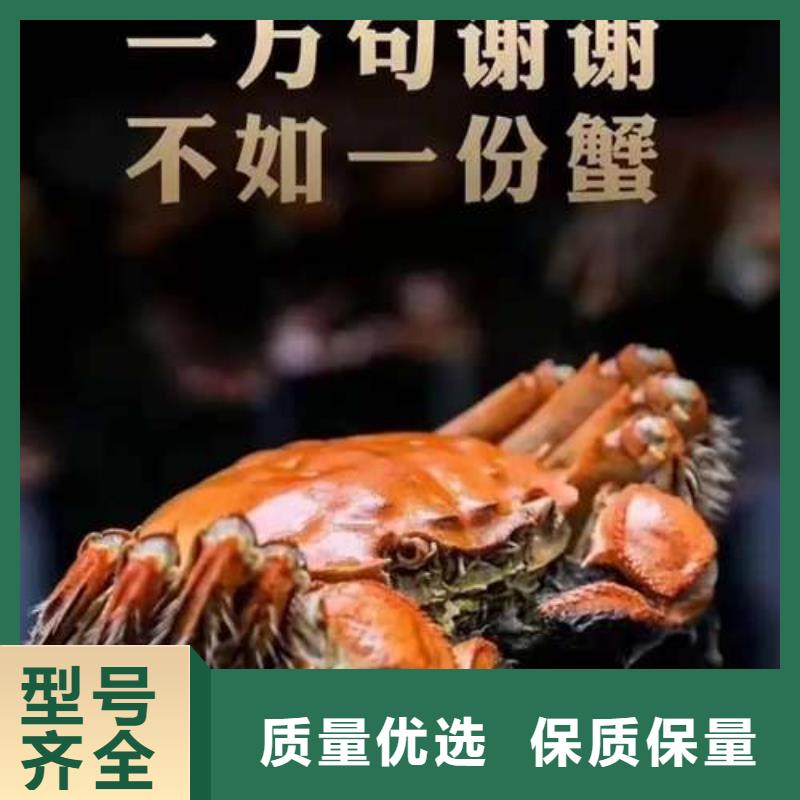 陽澄湖大閘蟹質(zhì)量嚴(yán)格把控