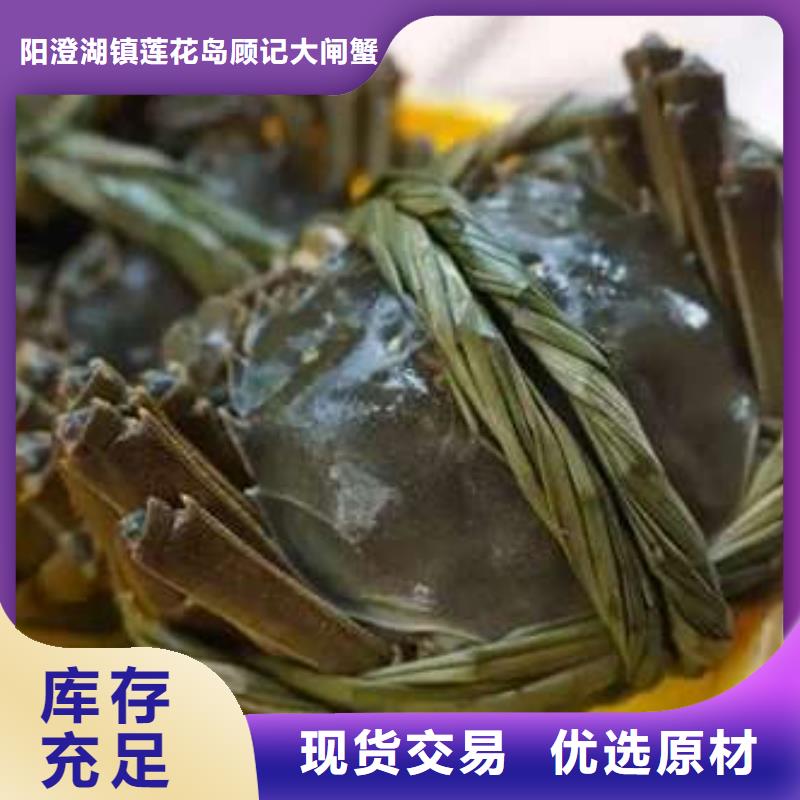 长期供应阳澄湖大闸蟹