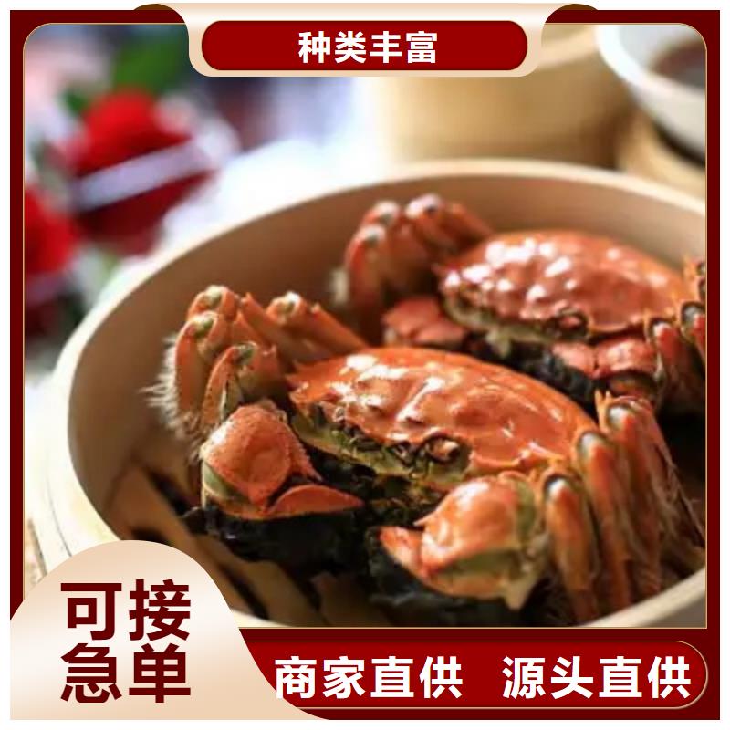 陽澄湖大閘蟹貨比三家再購買