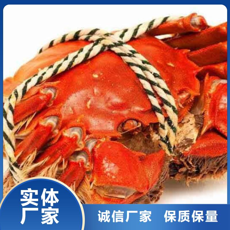 蟹陽澄湖大閘蟹多少重量廠家自營