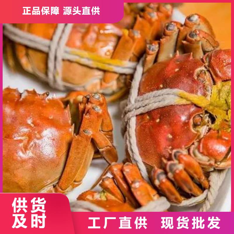 阳澄湖大闸蟹市场价