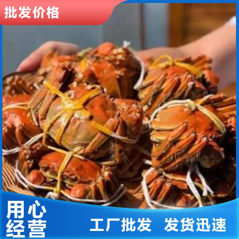 蟹陽澄湖大閘蟹零售店原料層層篩選