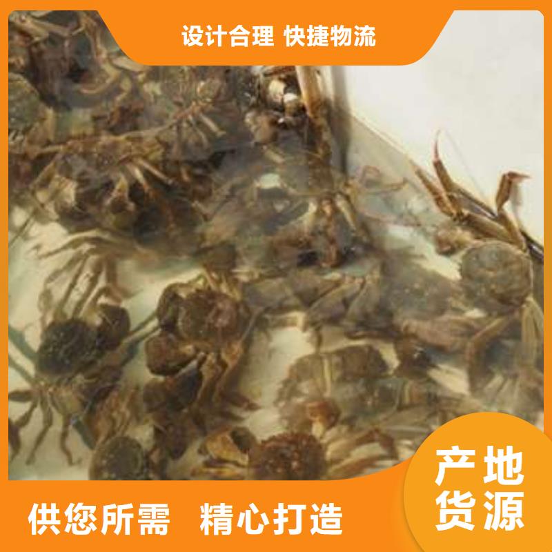 批发阳澄湖大闸蟹_品牌厂家